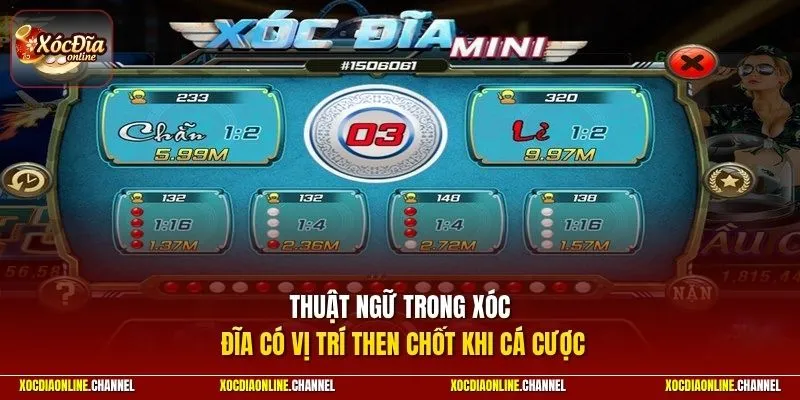 Thuật ngữ trong xóc đĩa có vị trí then chốt khi cá cược 